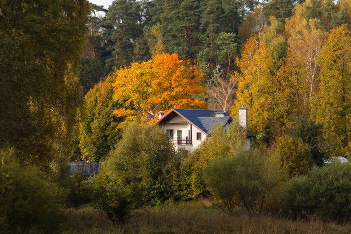 Осень в Рузском округе