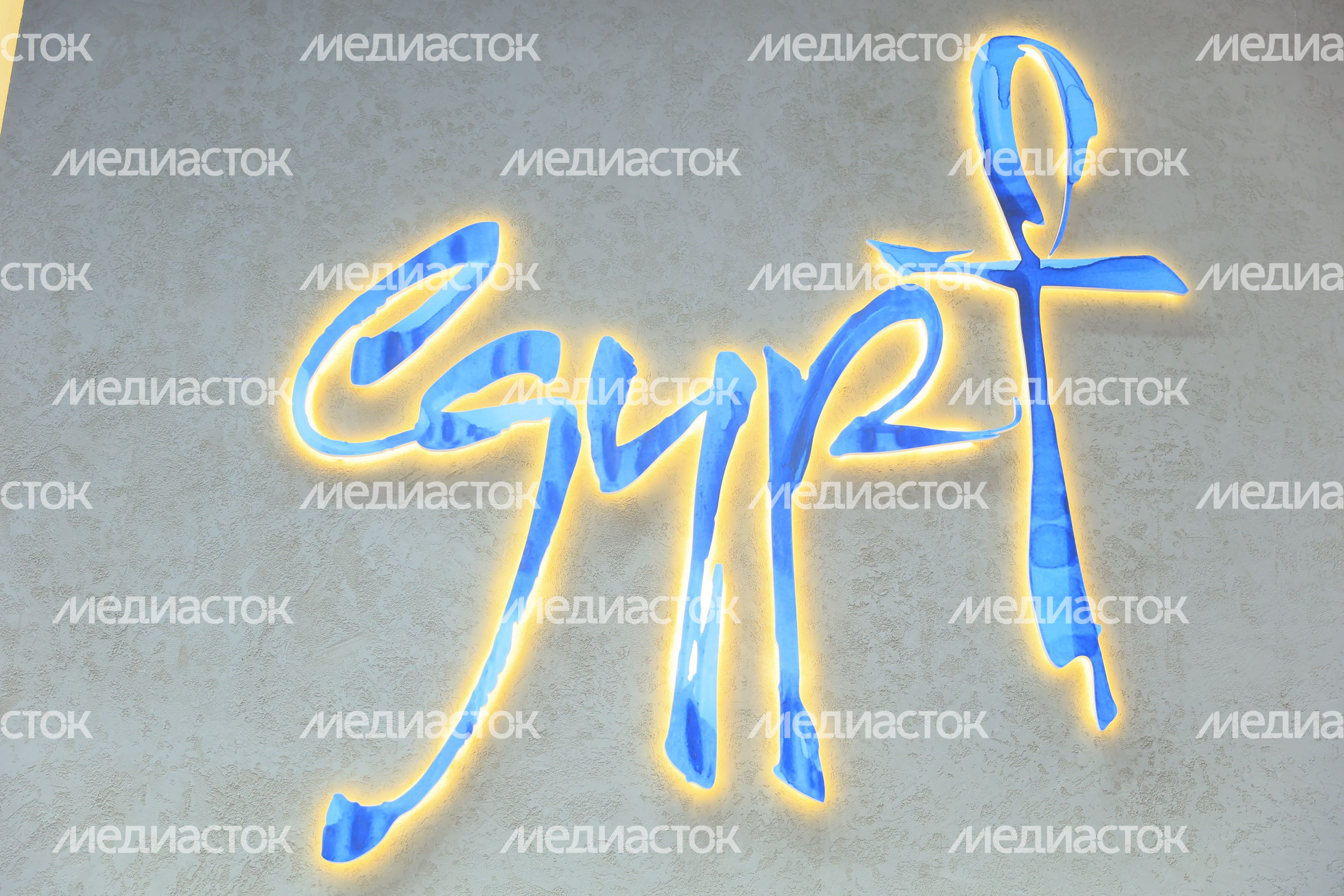 Петербургский международный экономический форум Петербургский международный экономический форум