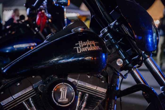 Домодедово. Фестиваль Biker Brothers Festival