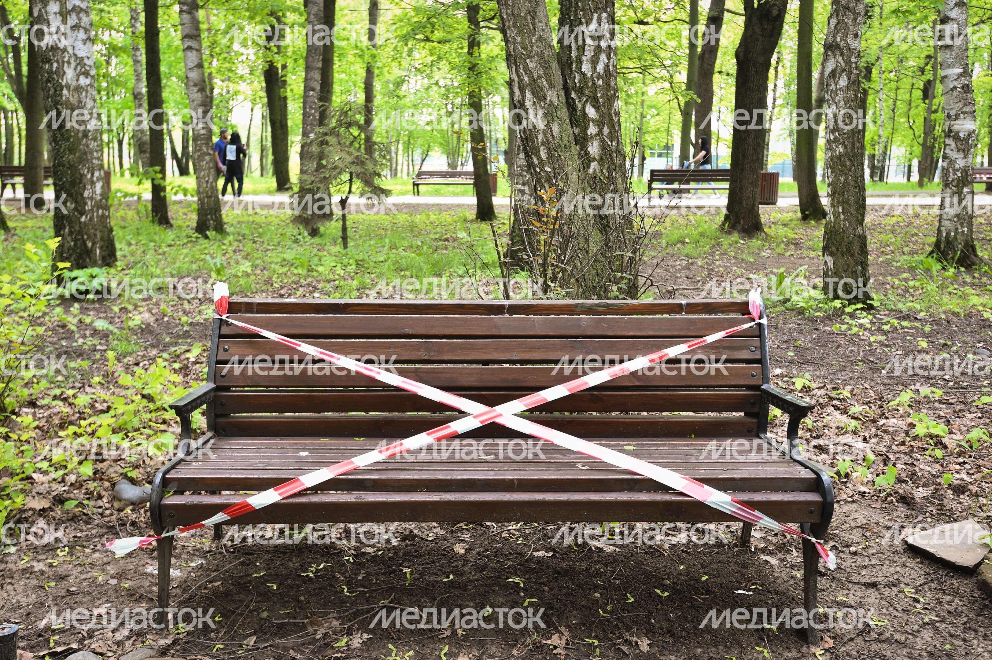 Открытие парков в Подмосковье