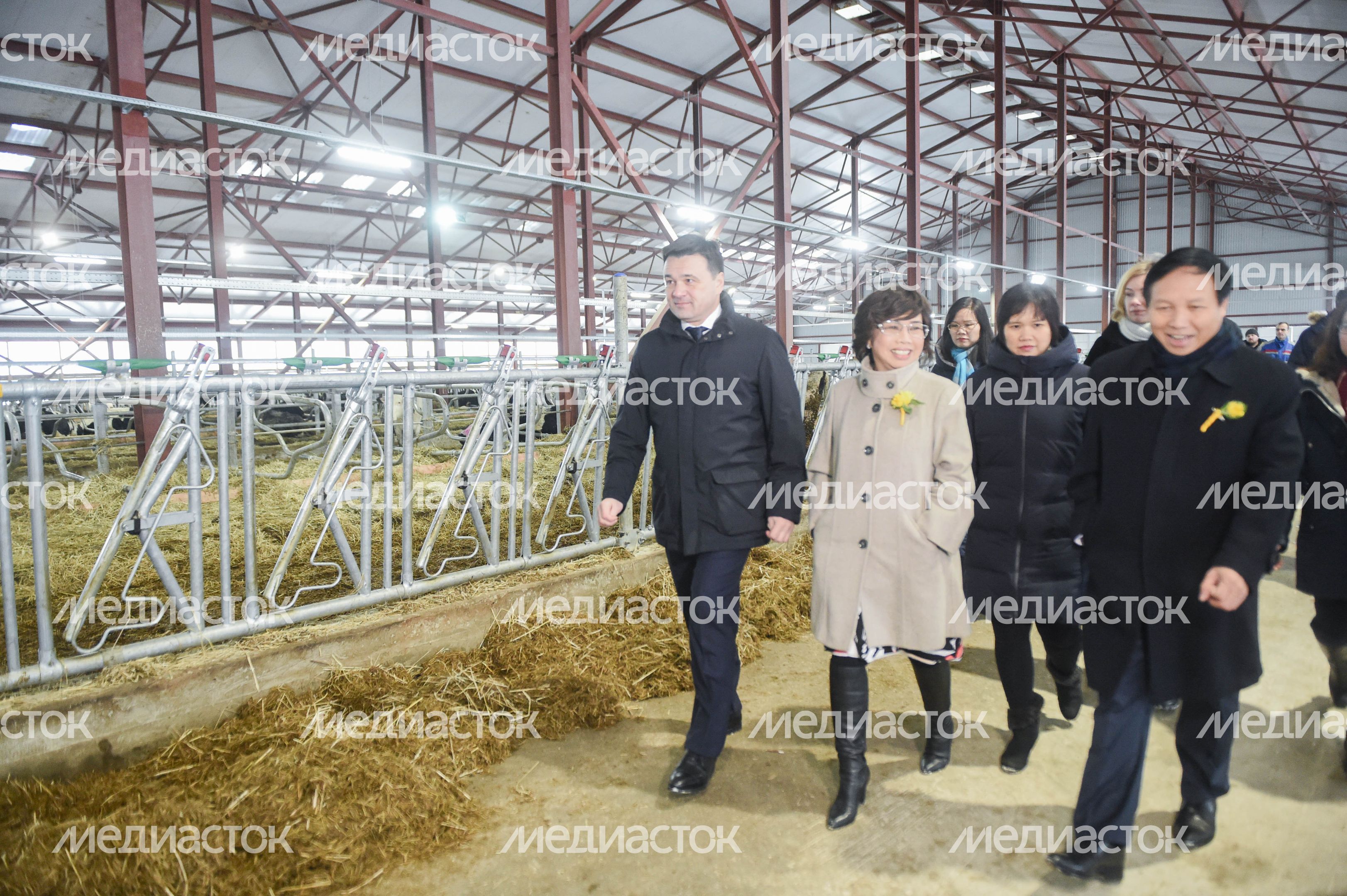 Открытие нового молочного комплекса TH True Milk в Подмосковье, 2 часть
