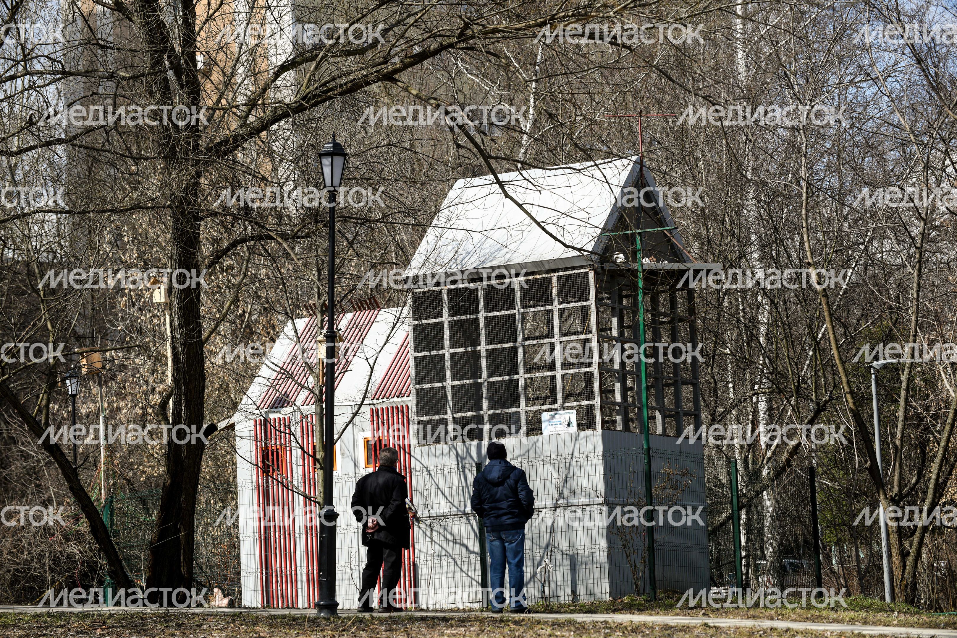 Голубятня в Москве Голубятня в Москве