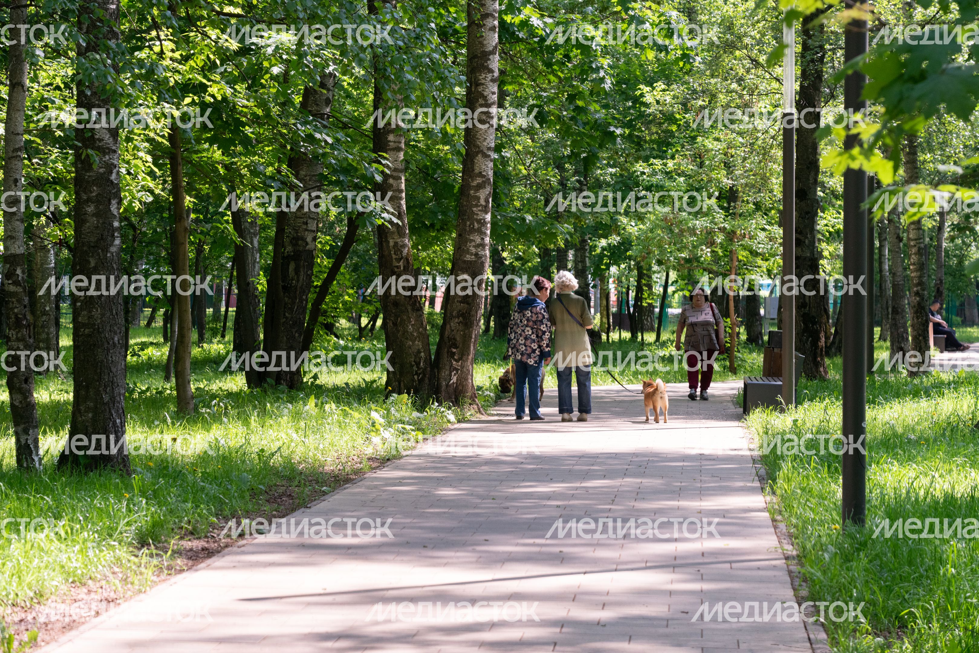 Парк Река времени