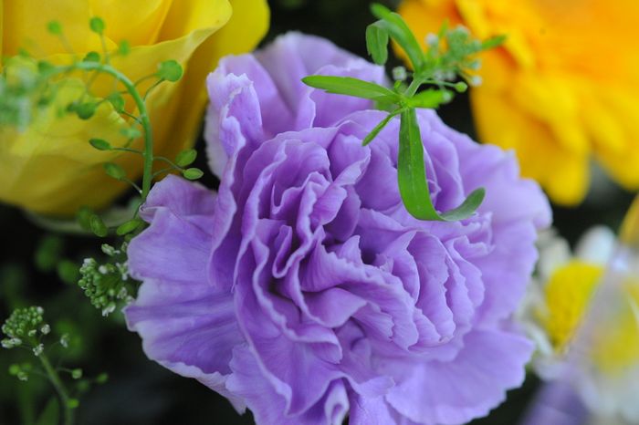 Цветочное производство «Флорист.ру» в Москве