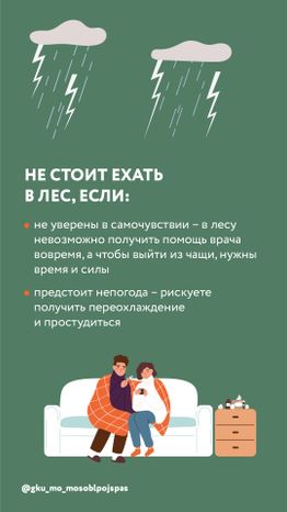 Вертикаль грибы 04.jpg