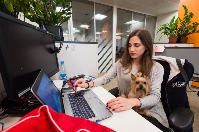 Pet‑friendly офис Purina