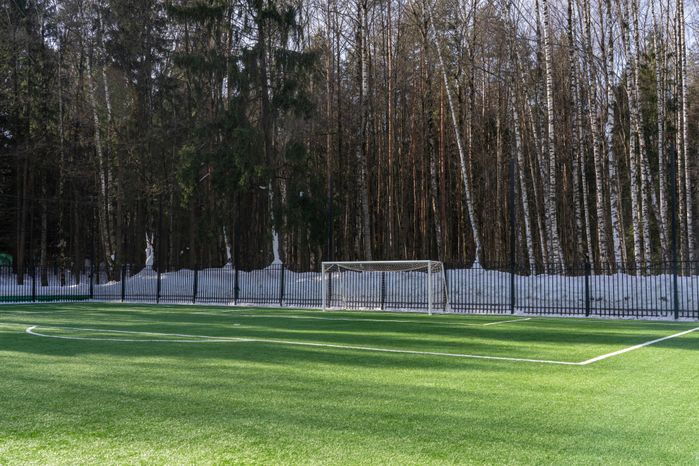 Мещерский парк в Одинцово зимой