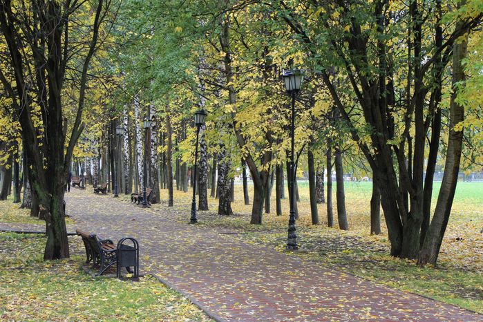 Городской парк в Долгопрудном