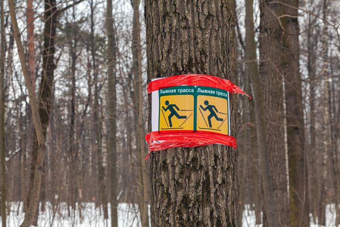 Лыжная трасса в Томилинском лесопарке зимой в городе Дзержинский округа Люберцы