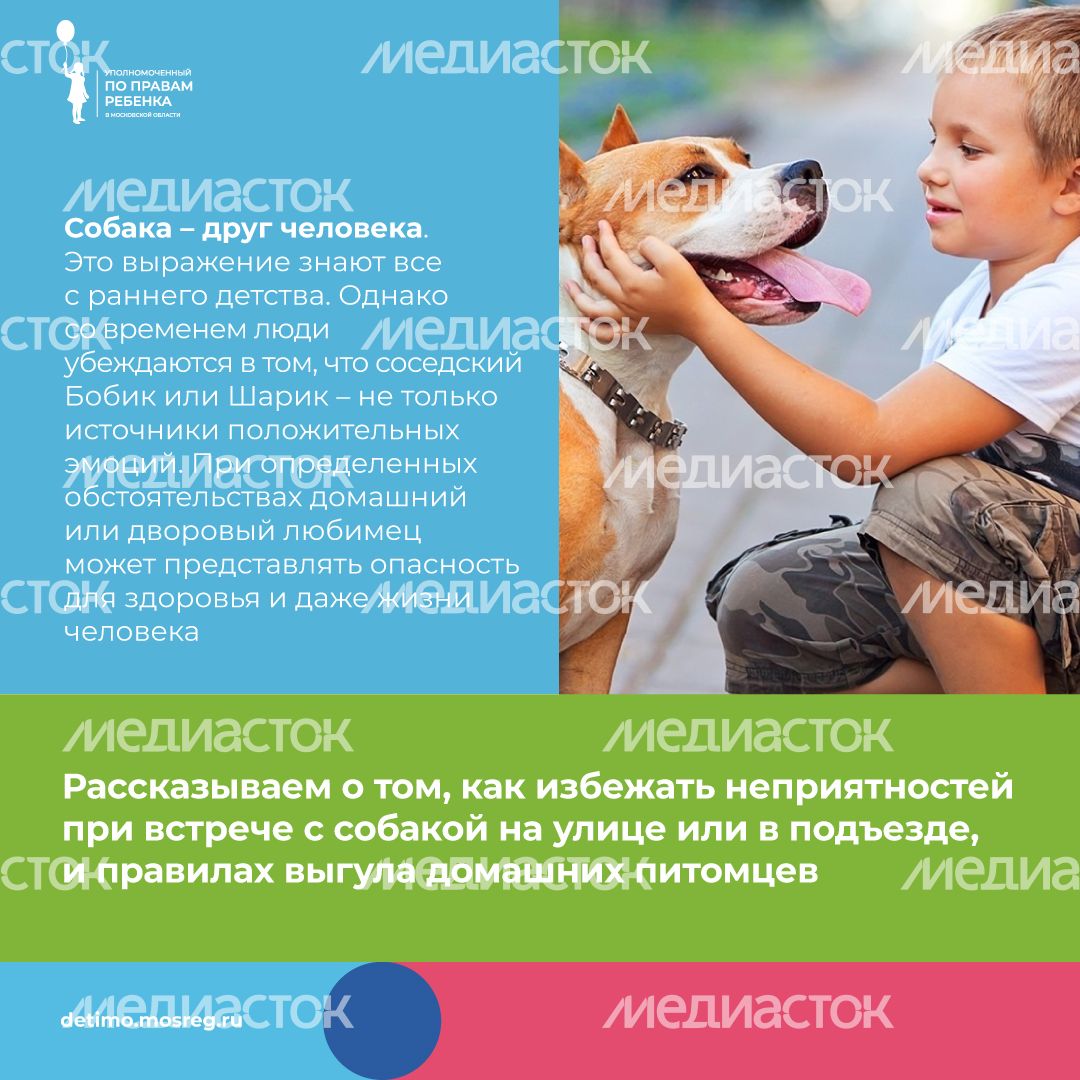 уппр_осторожно_собака_квадрат_2.jpg