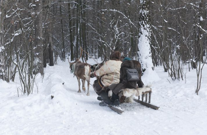Оленья ферма в Дзержинском