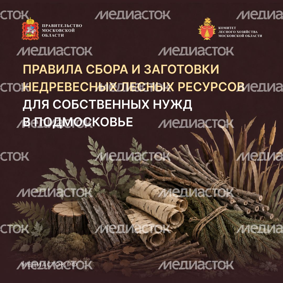 Недревесные ресурсы для собственных нужд Квадрат 01