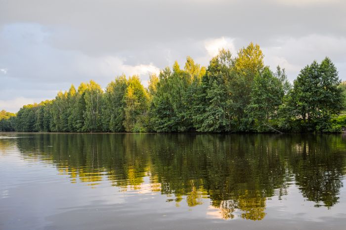 Горокруг Черноголовка. Летние виды реки Черноголовки