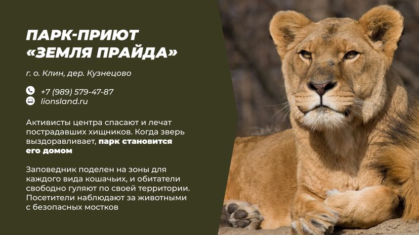 Фермы с животными
