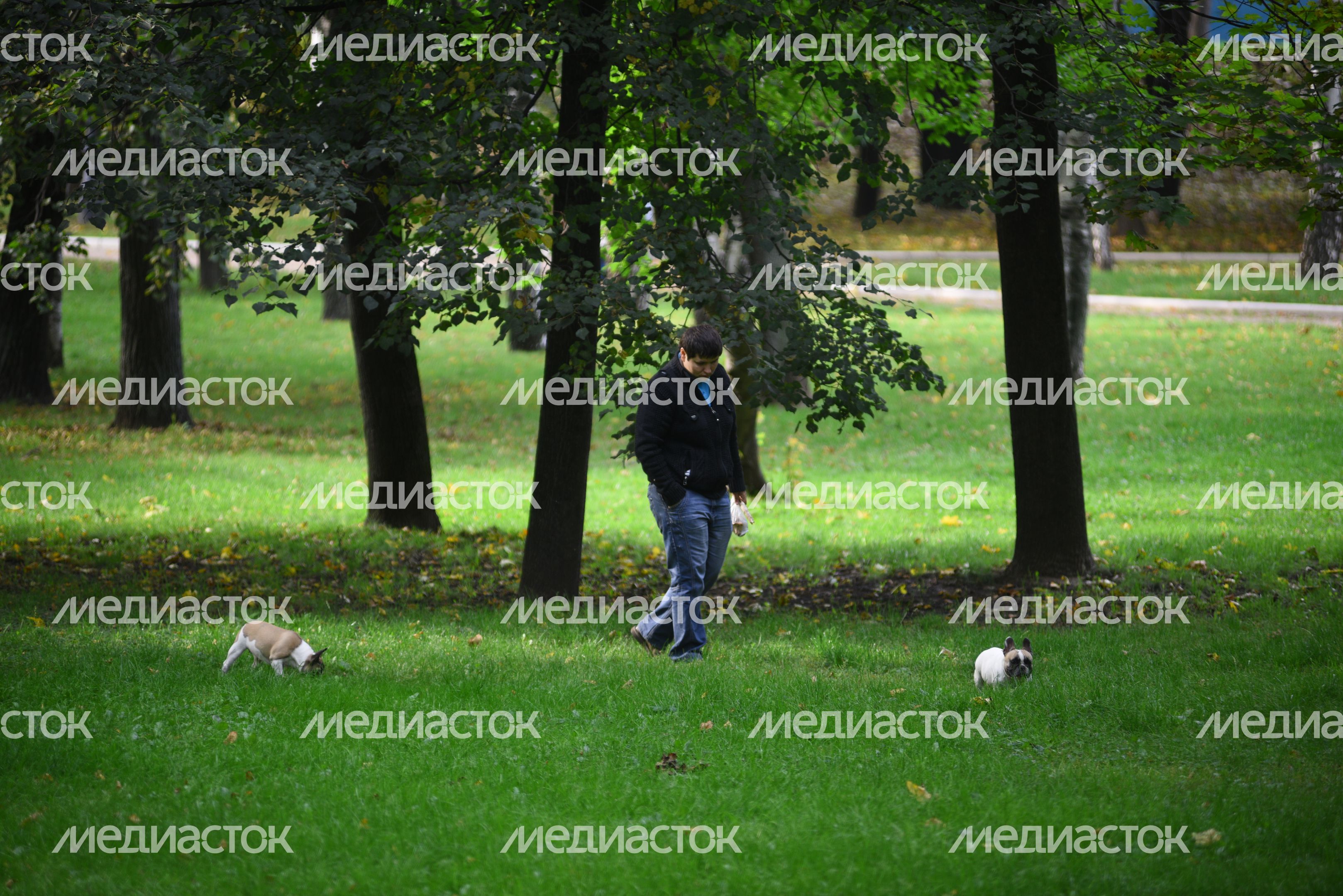 Парк Новодевичьи пруды в Москве