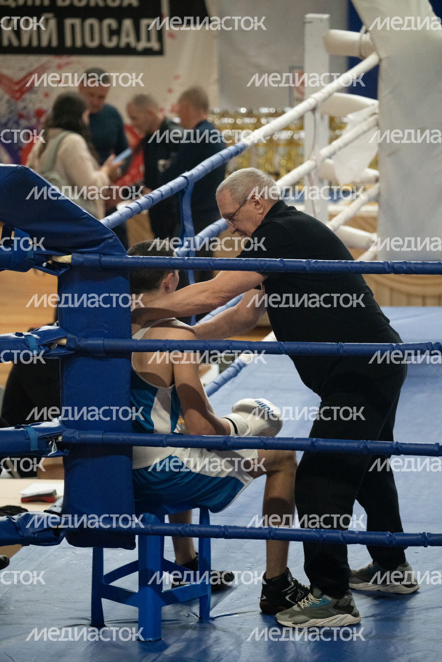 Чемпионат МО по боксу