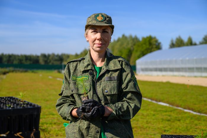 Сеянцы сосны выращивают в Дмитровском базисном питомнике