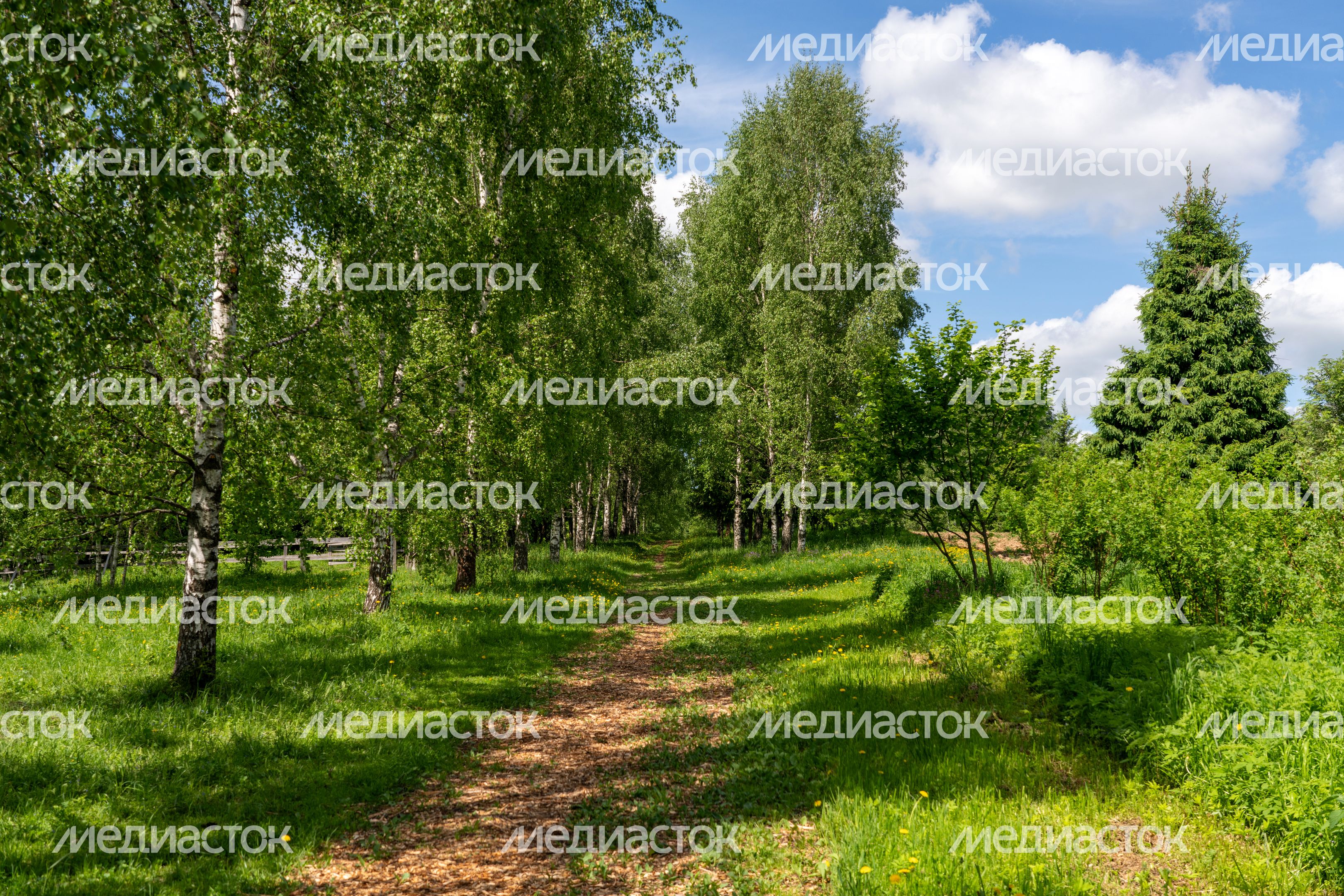 Музей-заповедник Д.И. Менделеева и А.А. Блока. Усадьба Шахматово