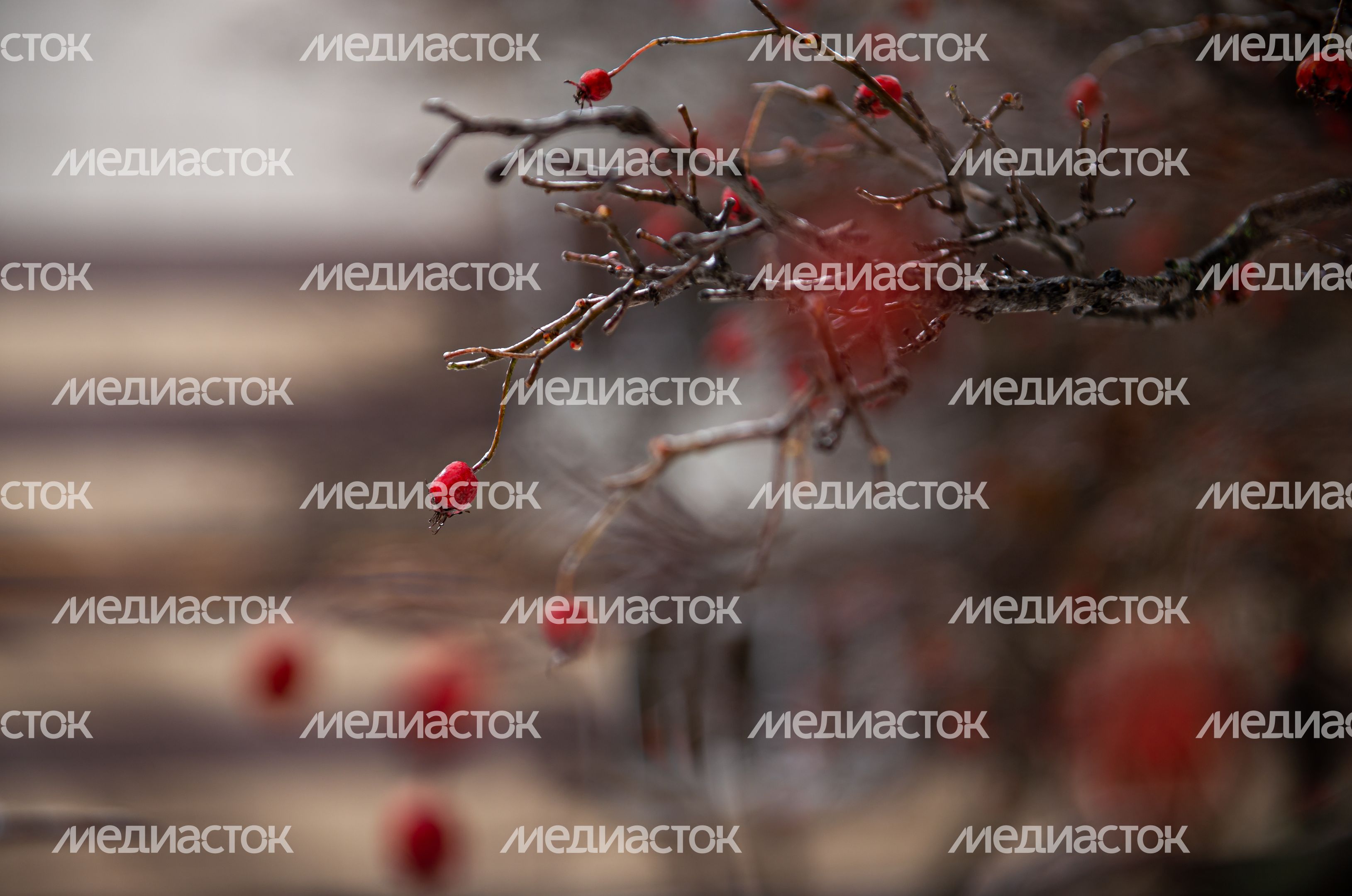 Последствия ледяного дождя в Москве