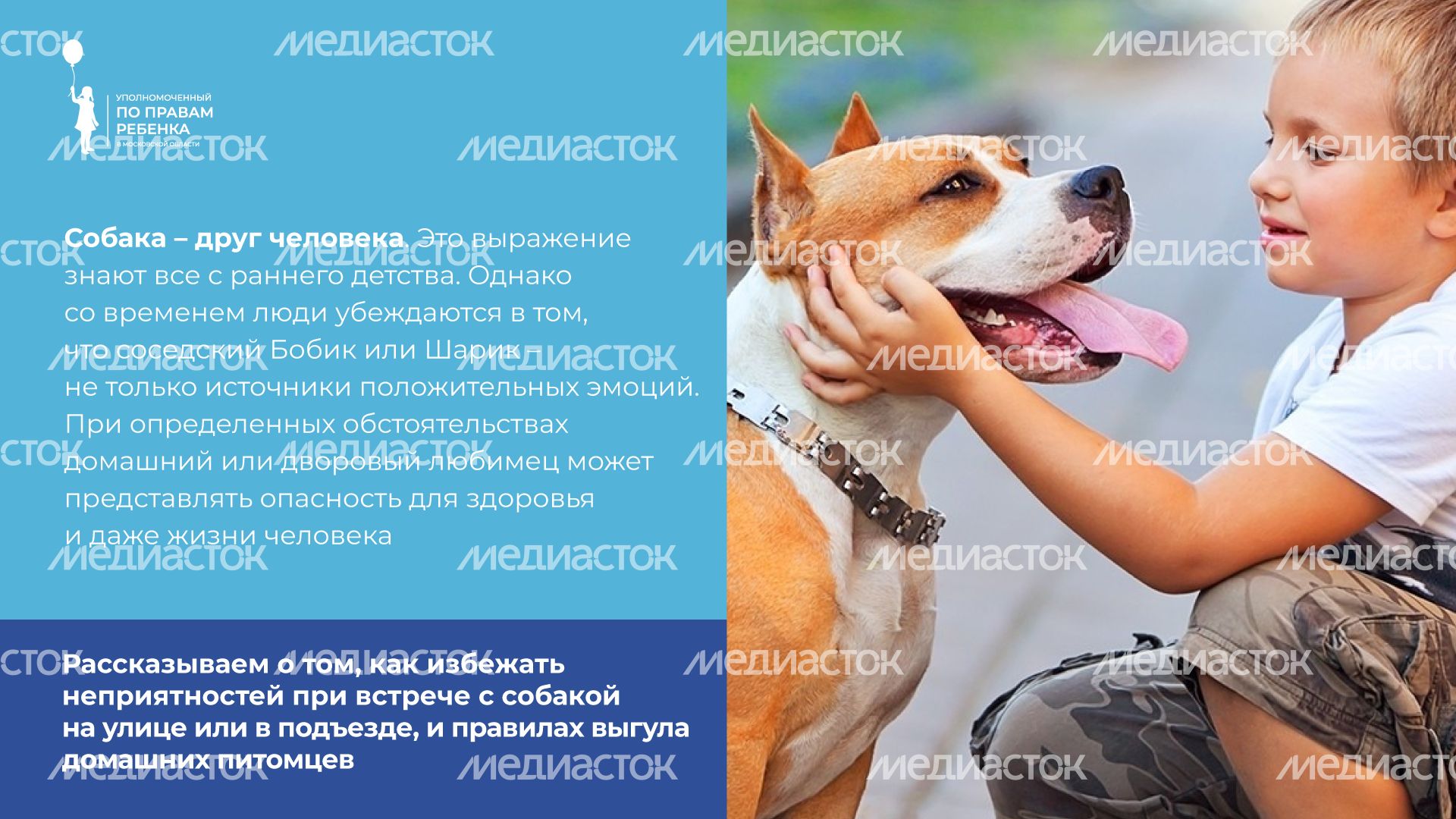 уппр_осторожно_собака_горизонталь_2.jpg