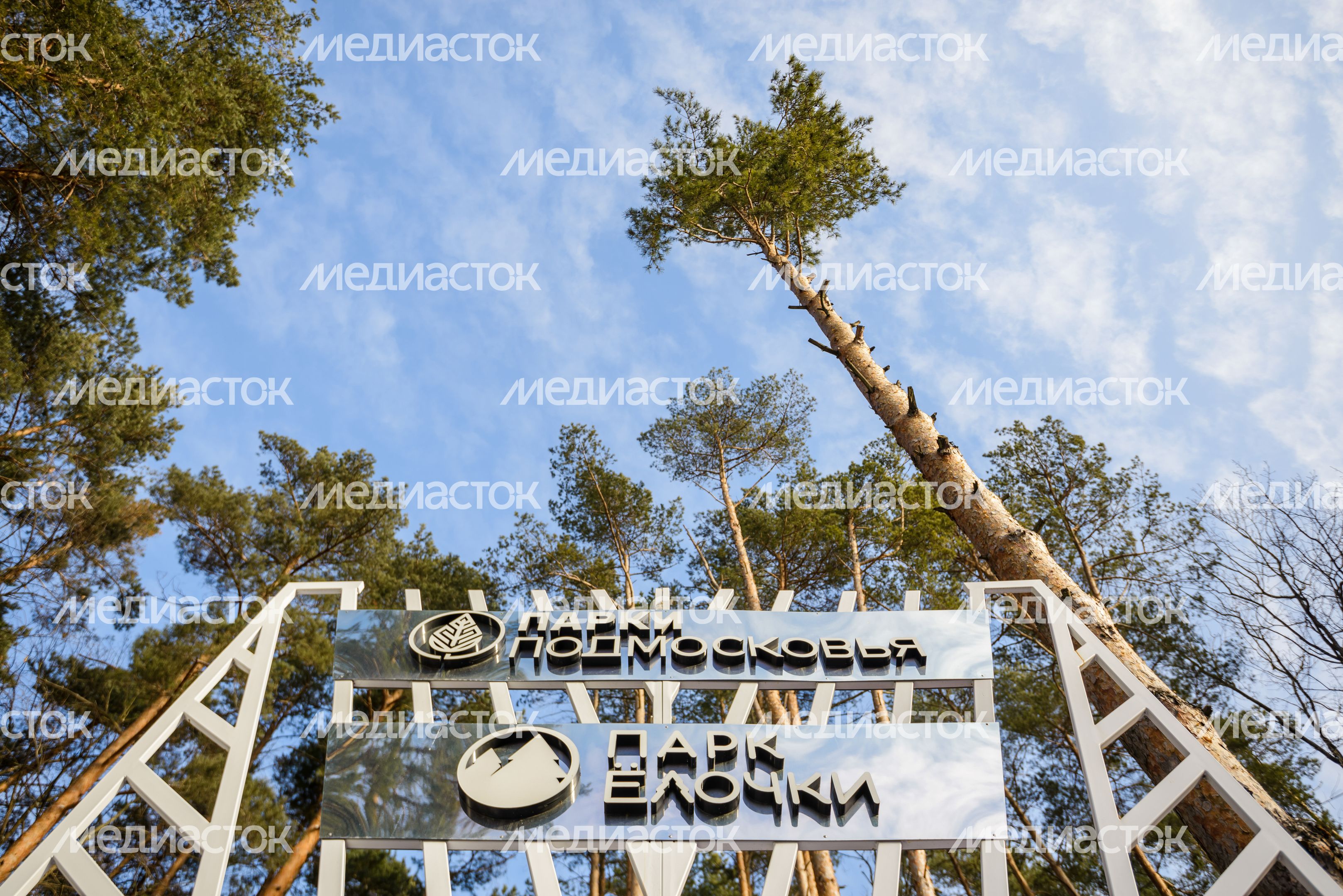 Парк культуры и отдыха «Елочки» в Домодедово Парк культуры и отдыха «Елочки» в Домодедово
