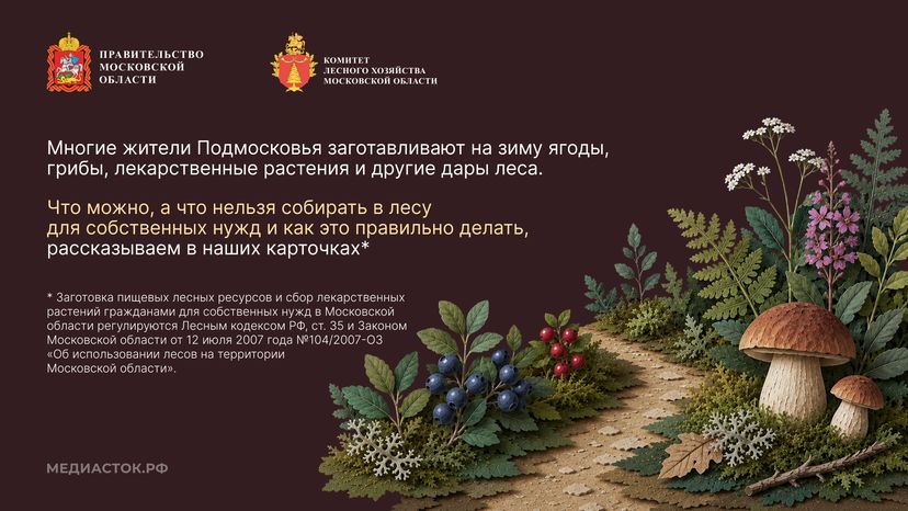 Ягоды, грибы, лекарственные растения горизонталь 02