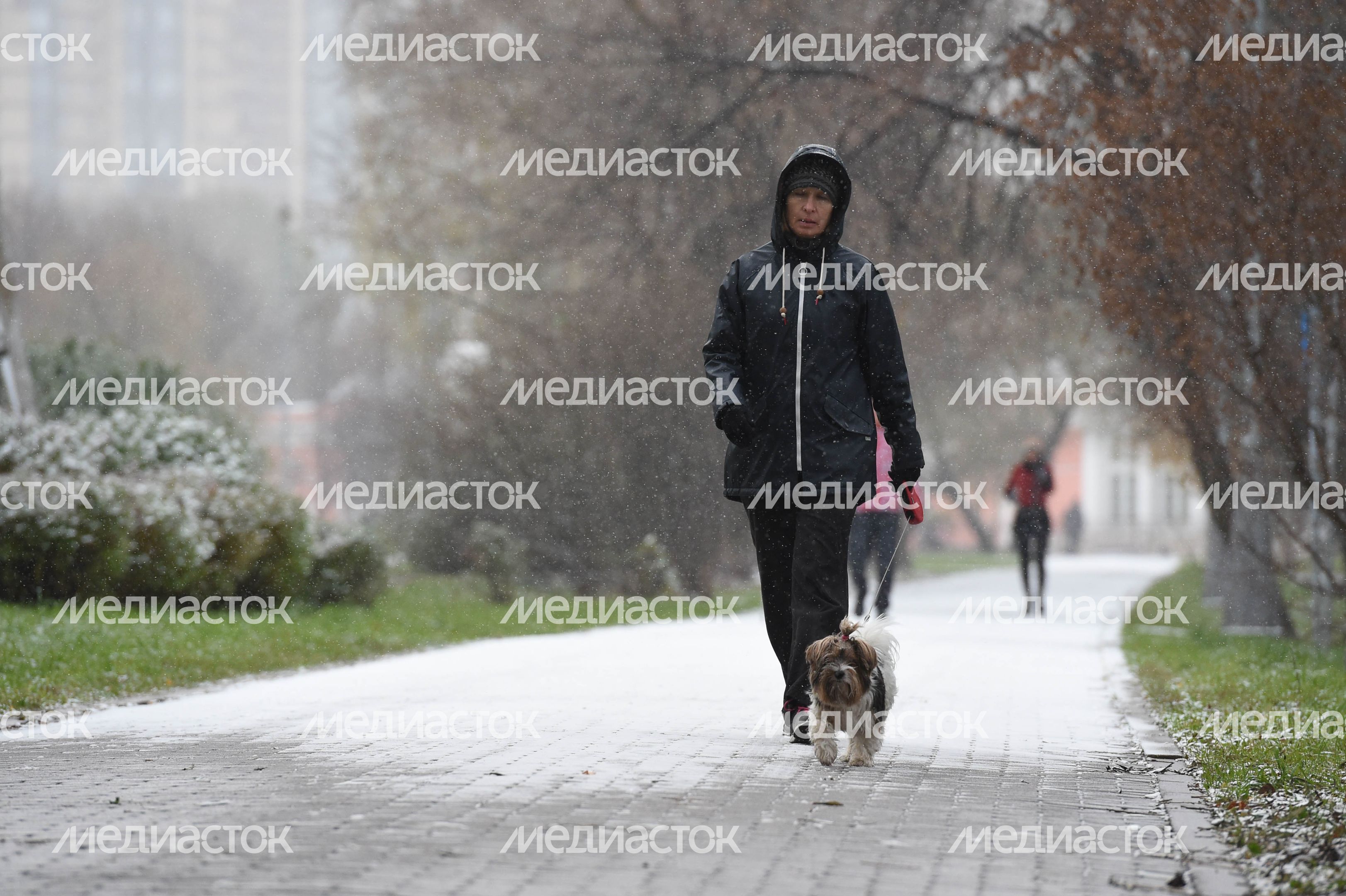 Первый снег в Москве