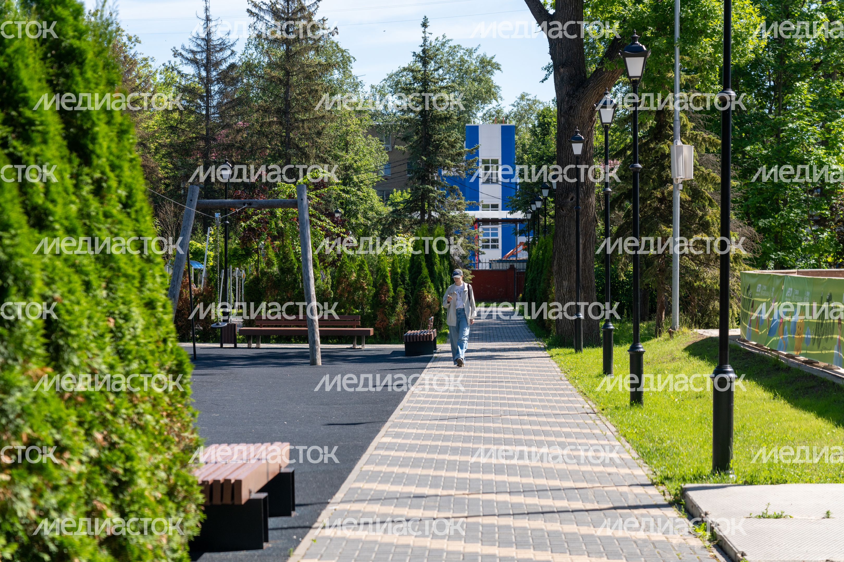 Лето в парке «Фабричный» города Дедовск округа Истра