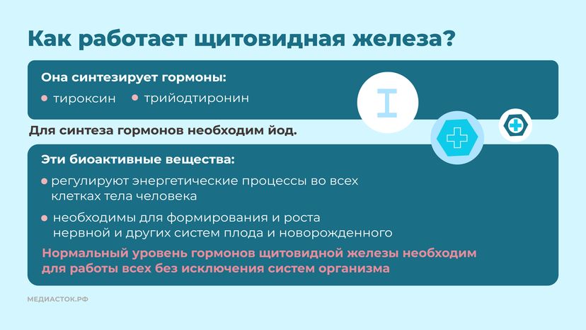 щитовидная железа семь вопросов Горизонталь 03
