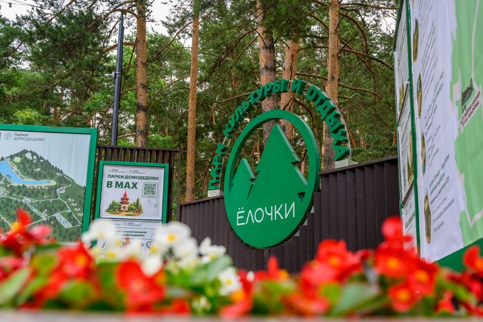 Лето в парке «Елочки» Домодедово
