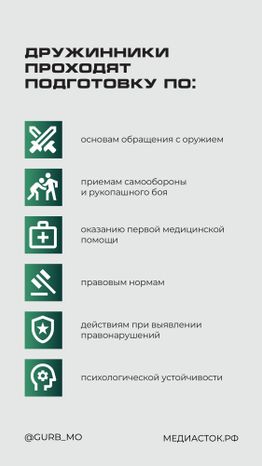 Народные дружины вертикаль 06