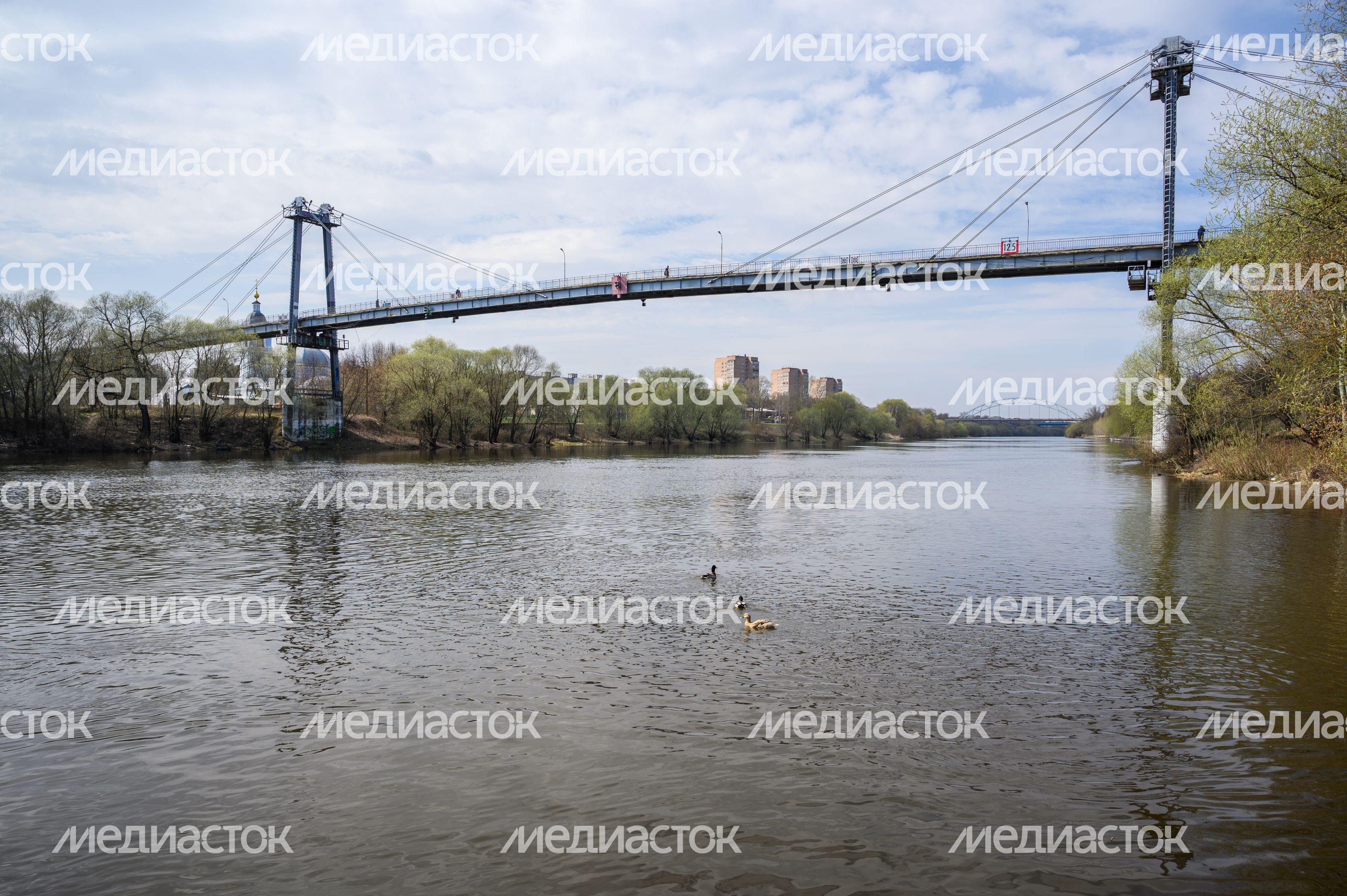 Парк усадьбы Кривякино в Воскресенске стал лауреатом всероссийской премии Парк усадьбы Кривякино в Воскресенске стал лауреатом всероссийской премии