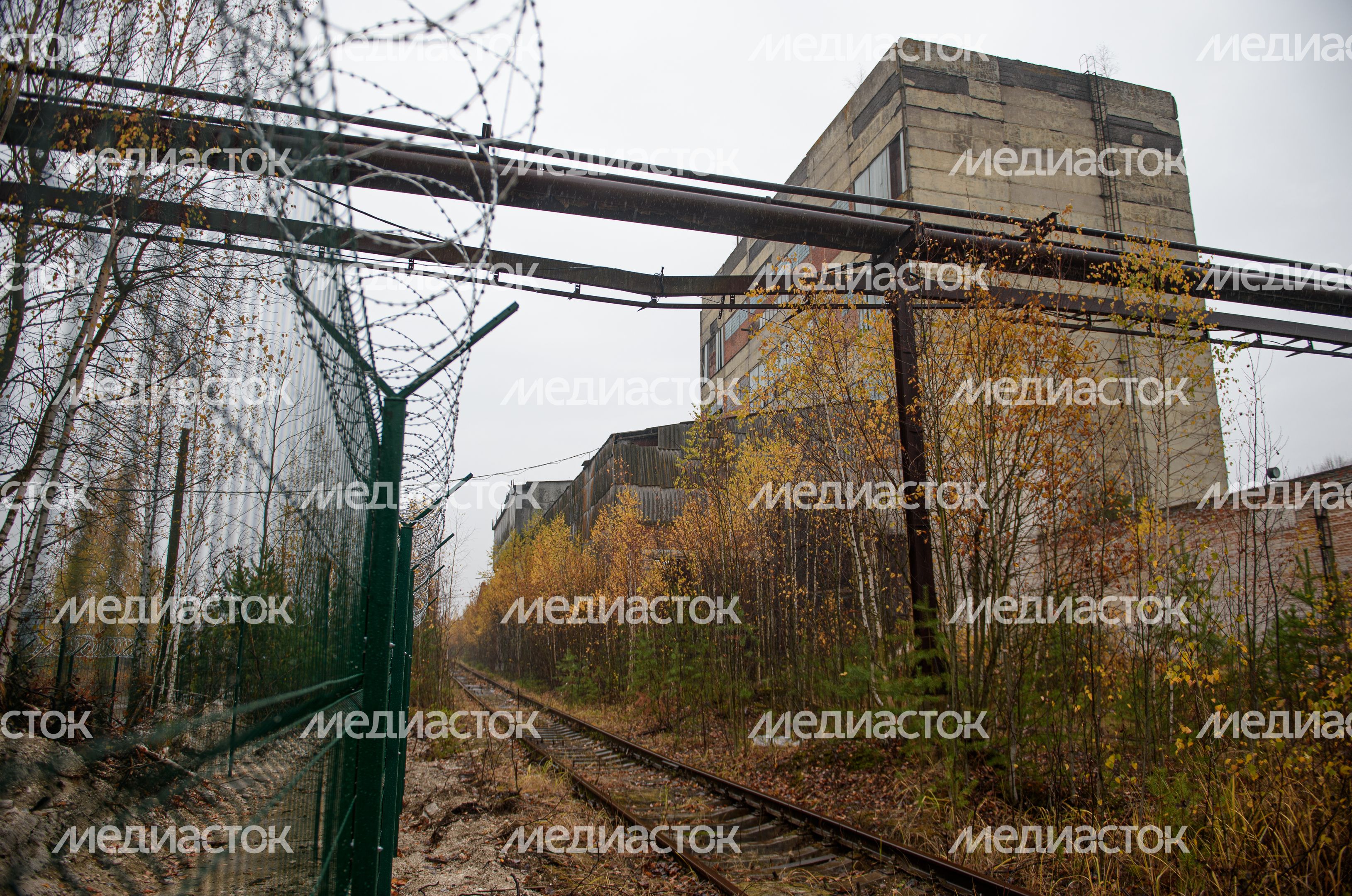 Осенние виды заброшенного завода «Кормофос»