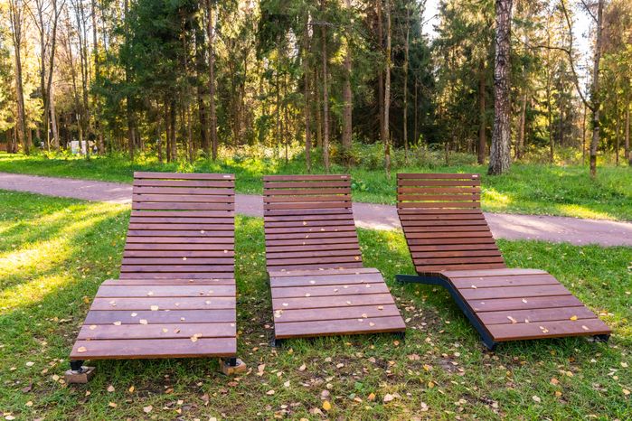 Шезлонги в лесопарке «Соколиная гора» осенью в Истре