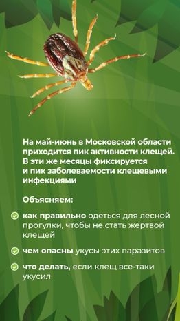 комлесхоз_клещи_верт_2