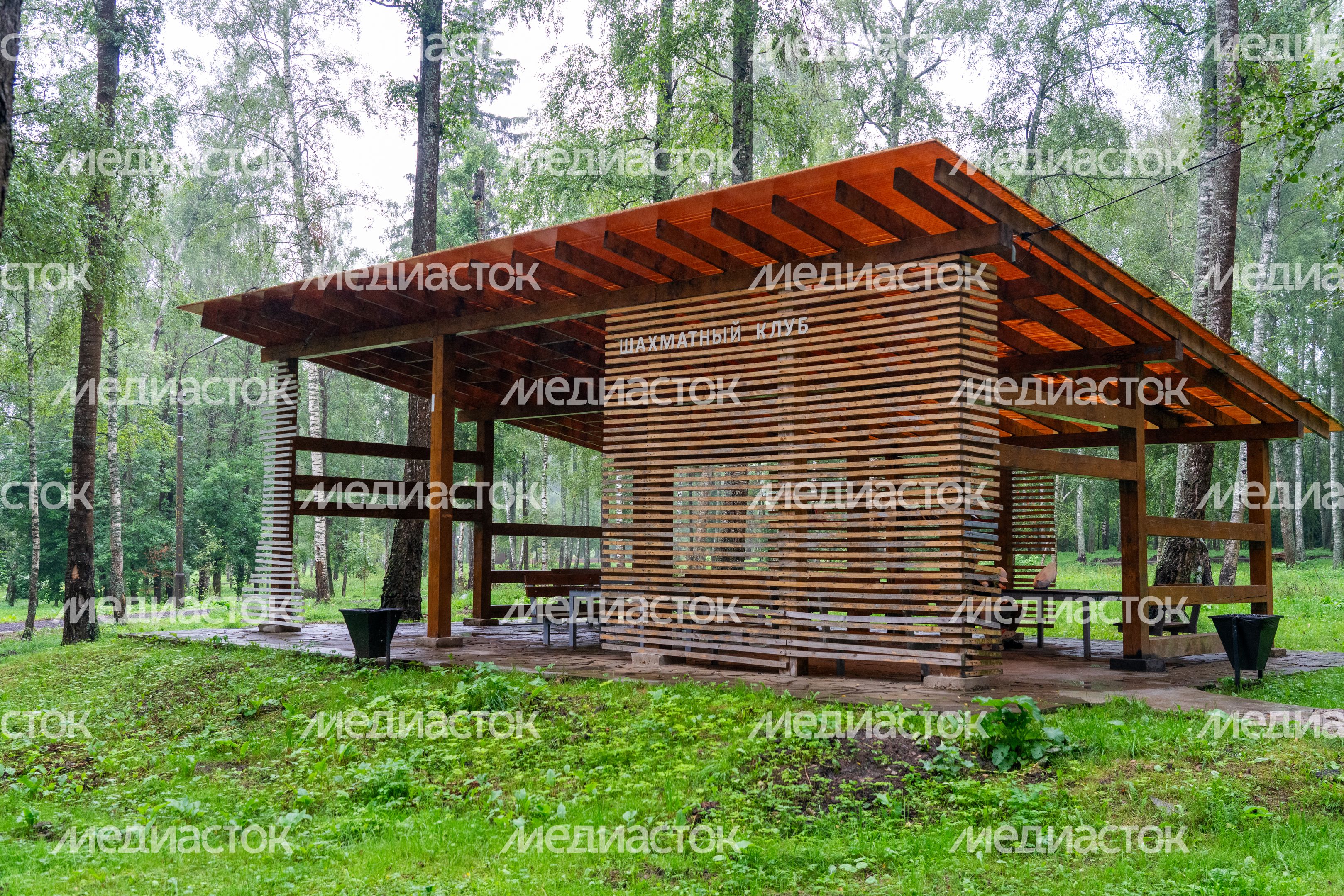 Высоковский городской парк культуры и отдыха «Березовый» в Клину Высоковский городской парк культуры и отдыха «Березовый» в Клину
