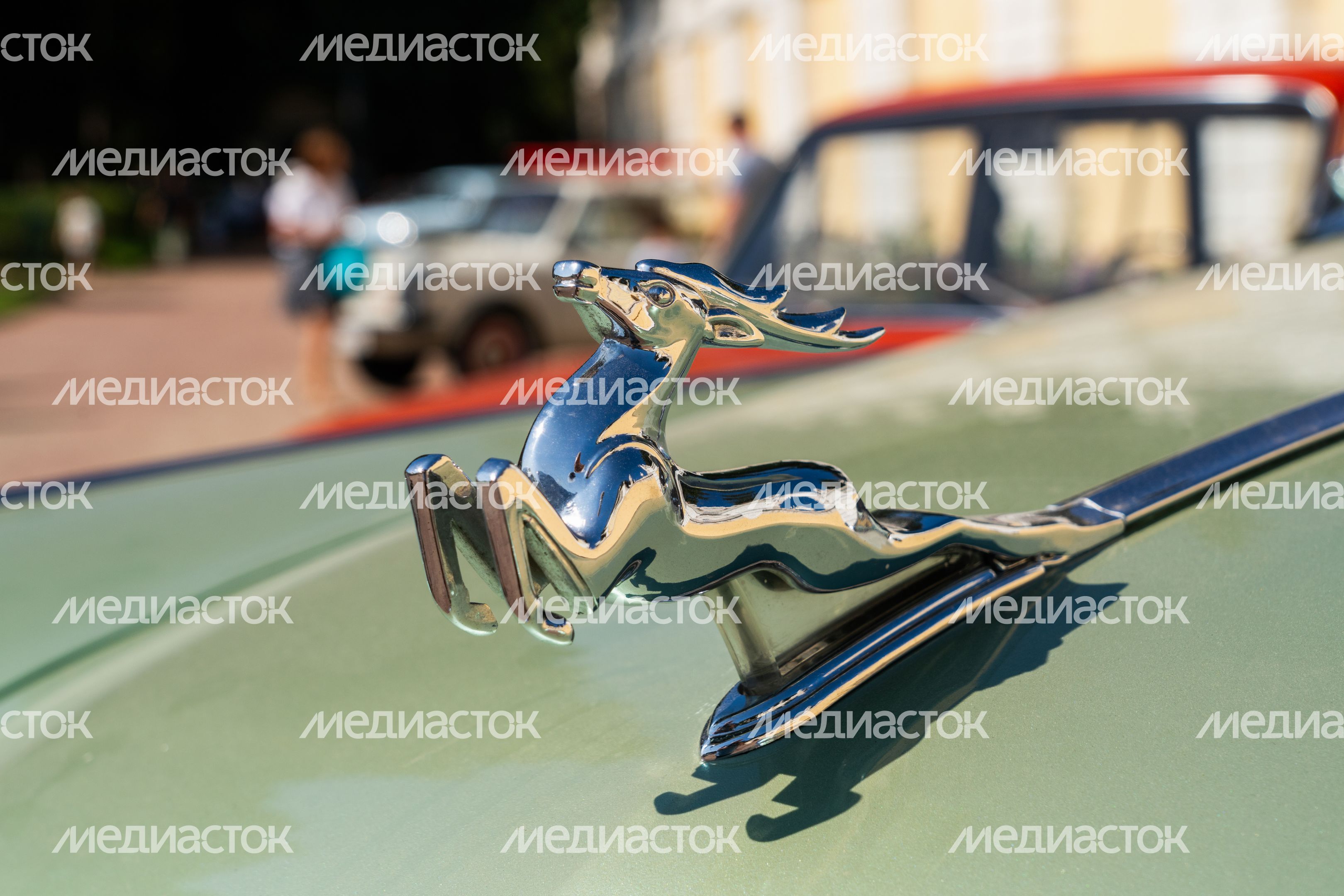 Автофестиваль в усадьбе Архангельское Автофестиваль в усадьбе Архангельское