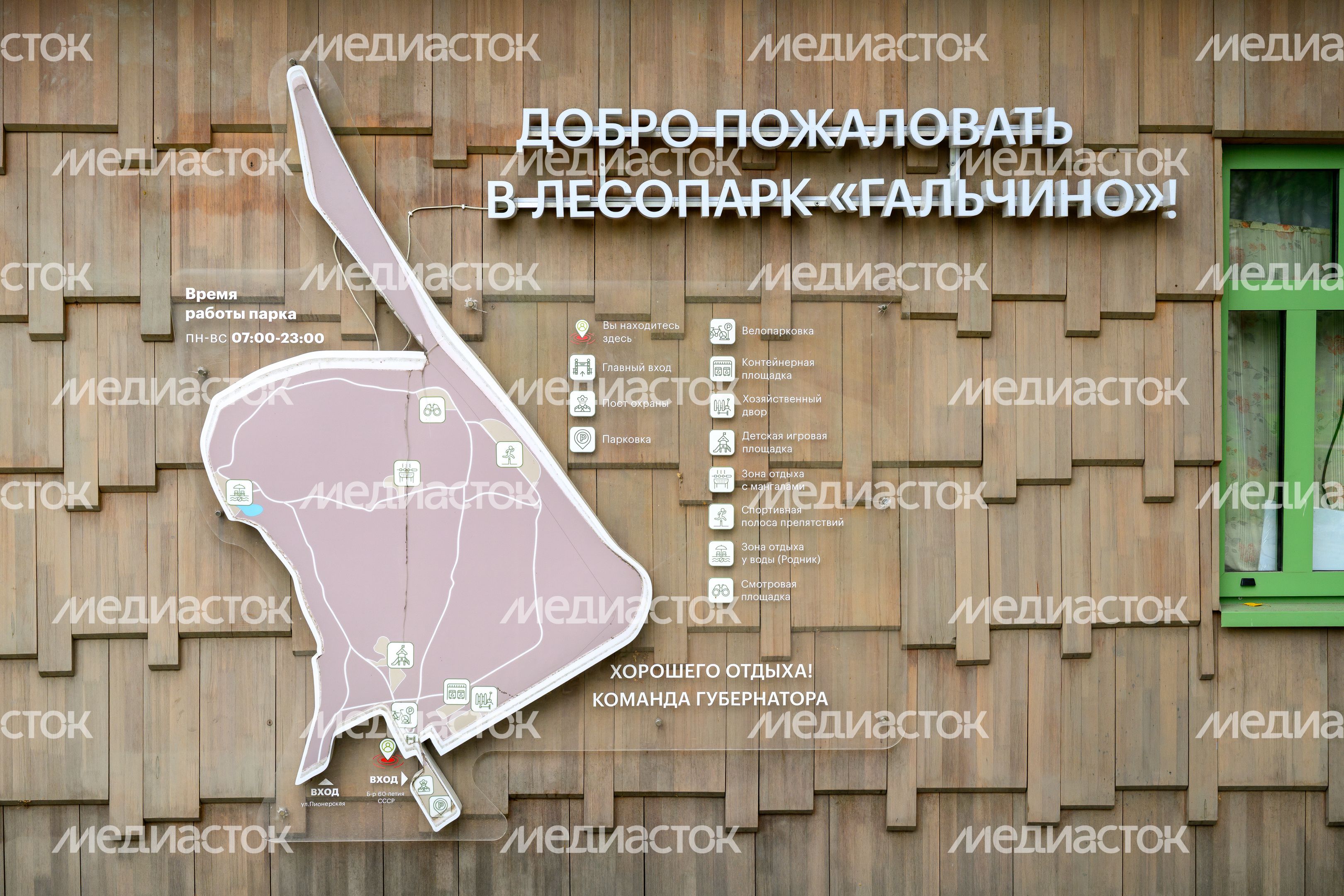 Лето в лесопарке «Гальчино» в Домодедово