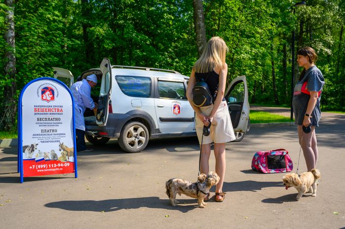 Выездная акция по чипированию и вакцинации животных в парке «Взлет» Домодедово