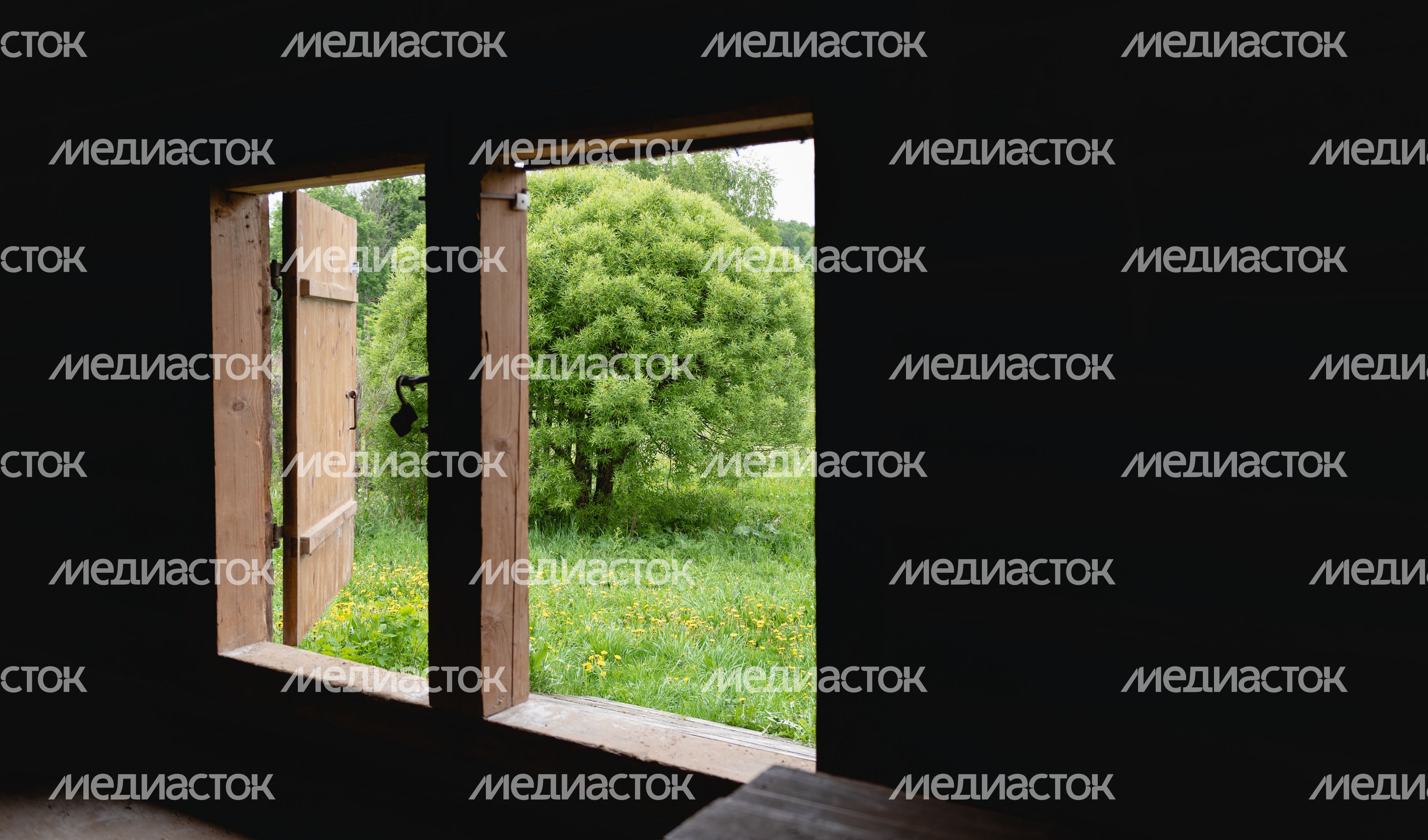 Мельница в Истре