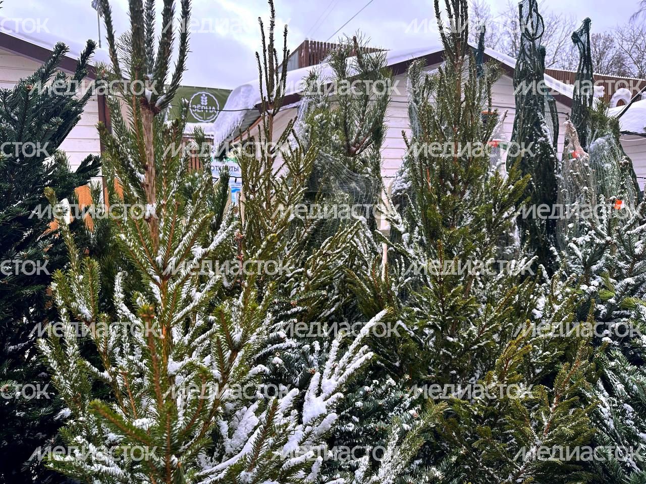 IMAGE 2023-12-15 15:05:41