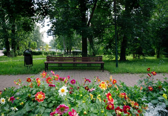 Благоустройство сквера Победы в Дзержинском в 2025 году