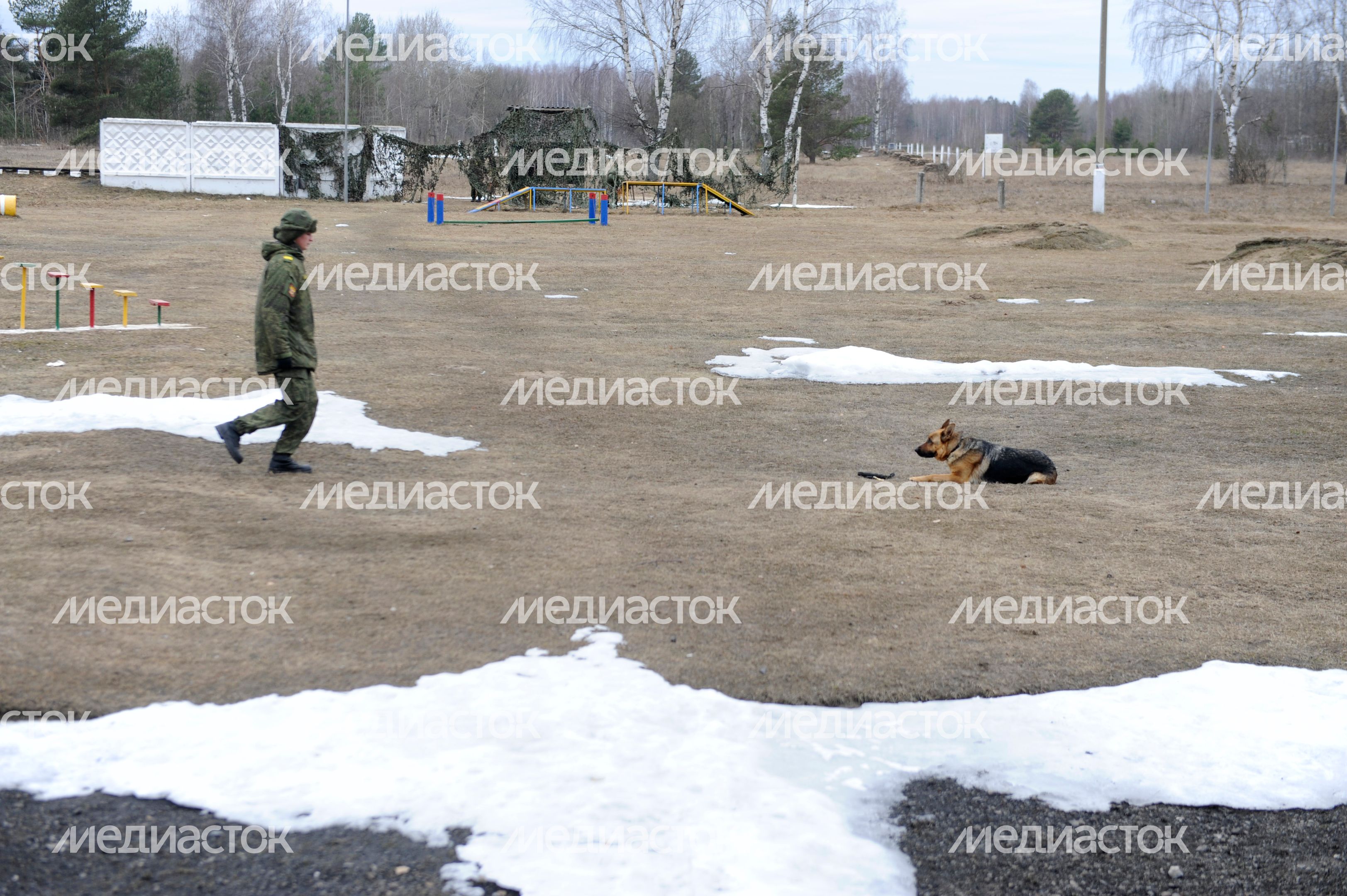 Подготовка вожатых служебных собак в учебном центре ЗВО