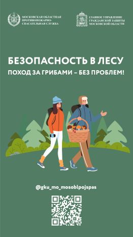 Вертикаль грибы 01.jpg