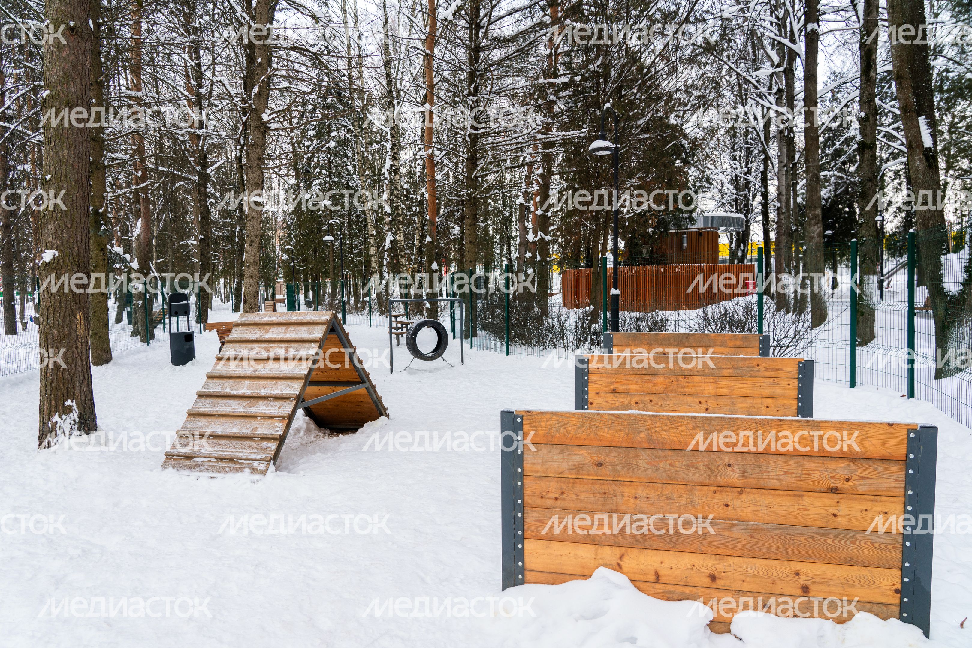 Площадка для выгула животных в городском парке «Гучково» в Дедовске округа Истра Площадка для выгула животных в городском парке «Гучково» в Дедовске округа Истра