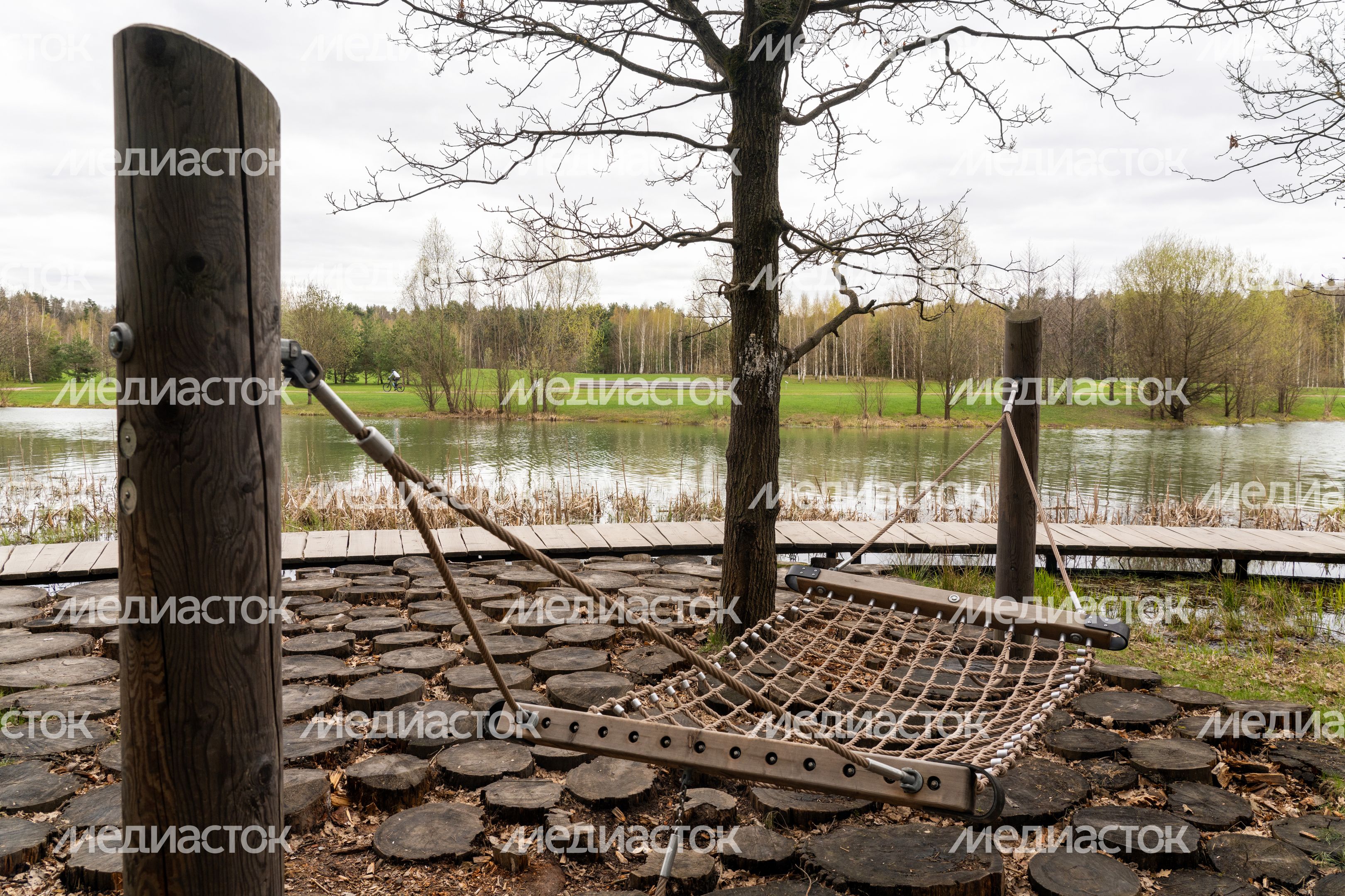 Мещерский парк в Одинцовском округе. Весна Мещерский парк в Одинцовском округе. Весна