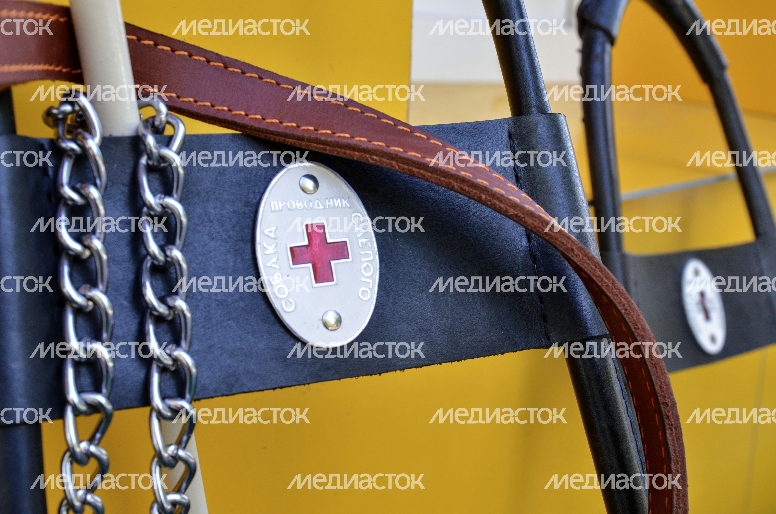 Школа подготовки собак-проводников для слепых Школа подготовки собак-проводников для слепых