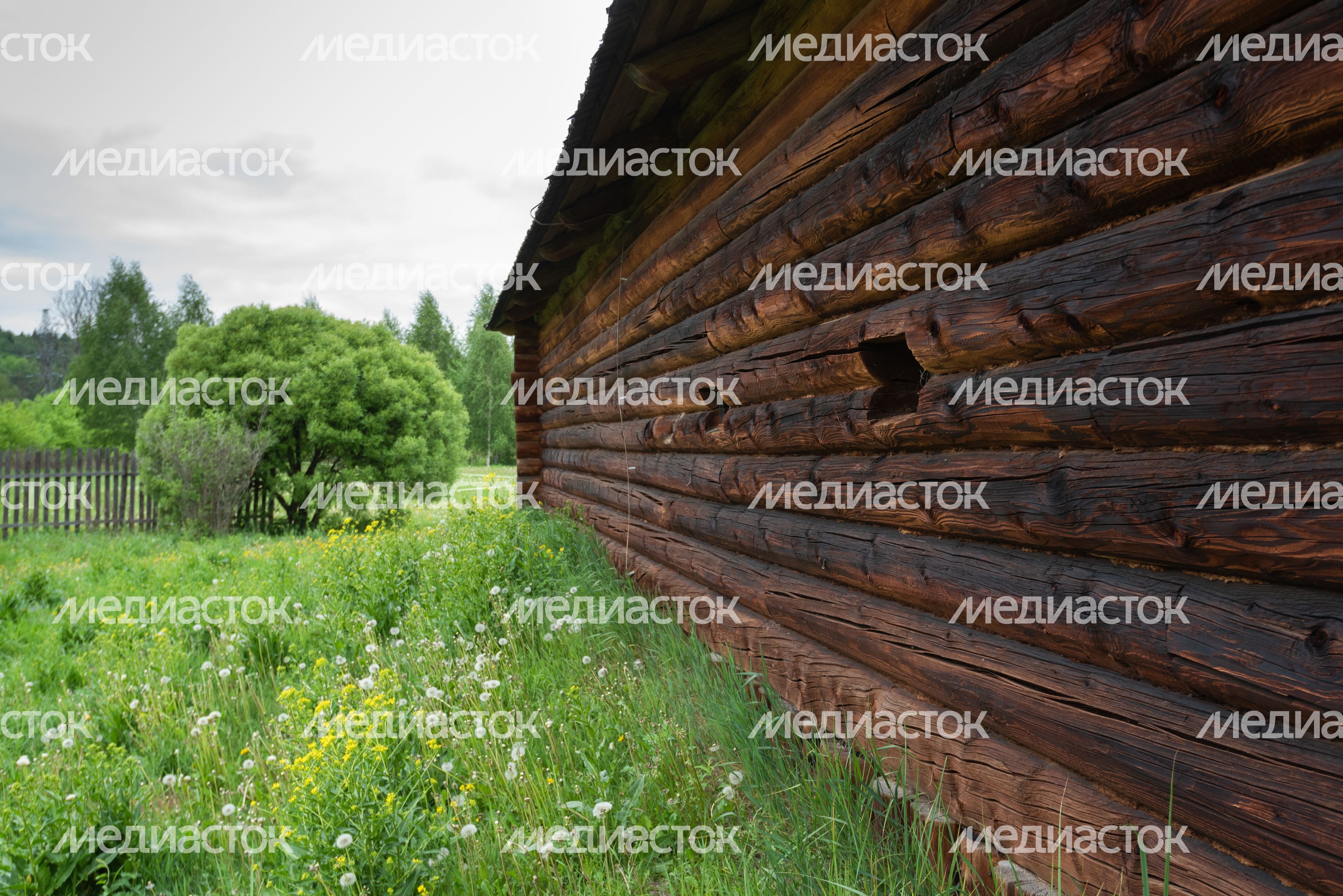 Мельница в Истре