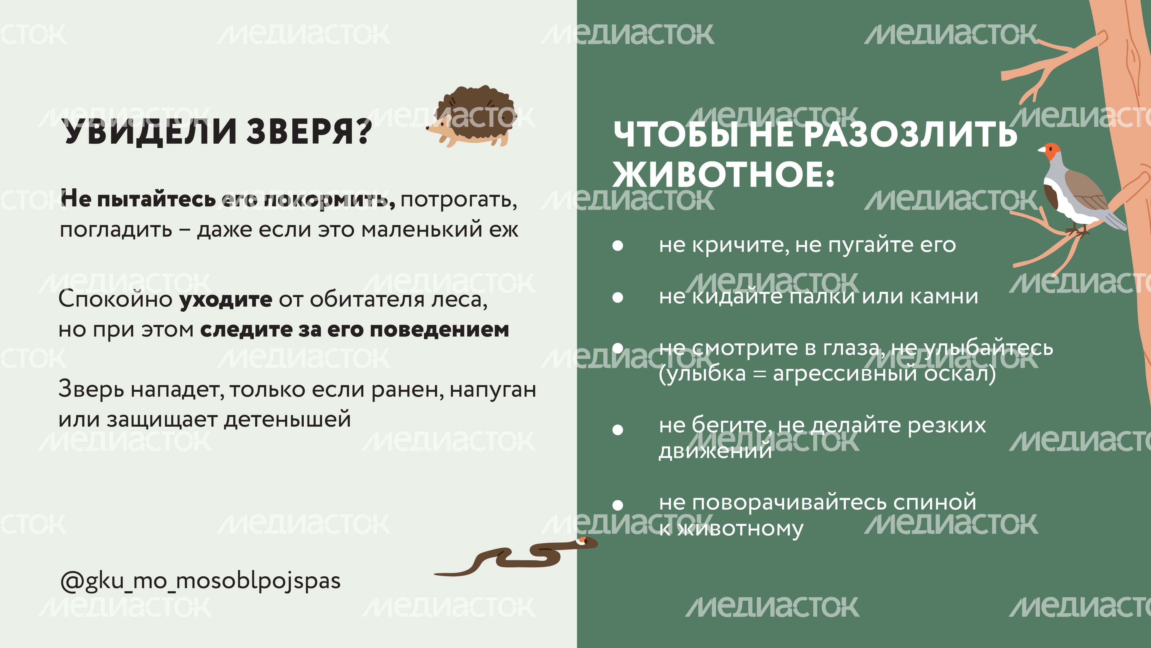 Горизонтали Безопасность в лесу 04.jpg