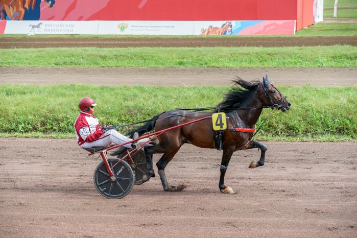 Праздник рысистого коннозаводства на Раменском ипподроме